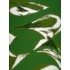 greensurf.jpg
